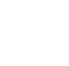 doinky anim sticker
